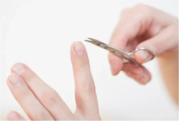 Ciseaux à ongles à lame droite et courbe en comparaison