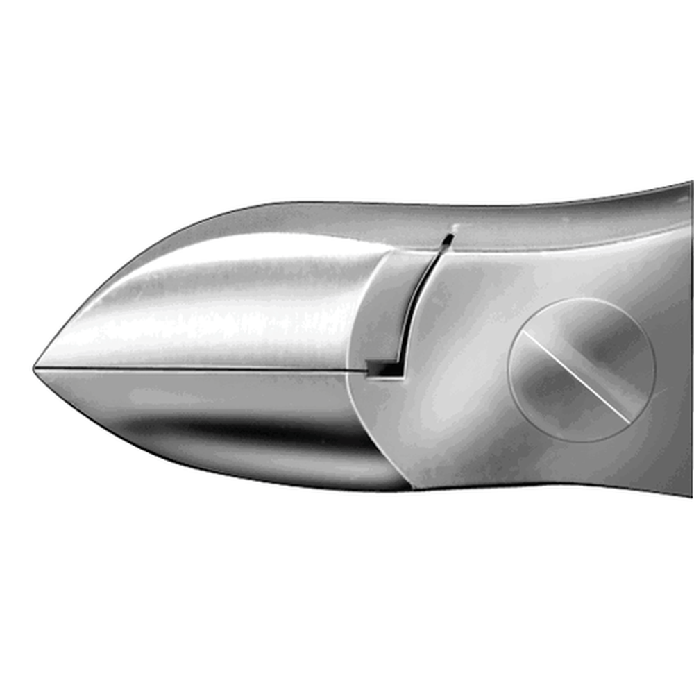 AESCULAP nail nippers HF241R – Detail view
