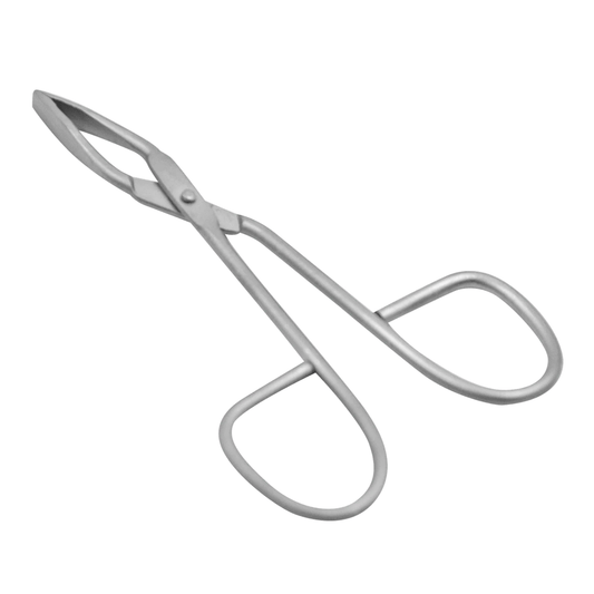 Pinzetta a forbice con punte piatte per francobolli e oggetti da collezione
