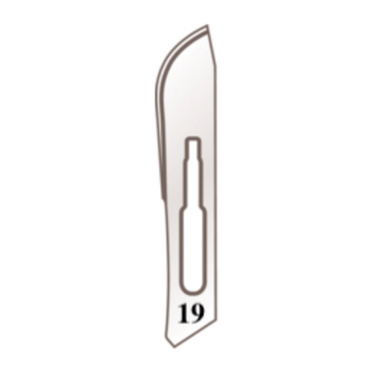 Lames de scalpel n° 19 pour manche n° 4 – Longueur 8,5 cm